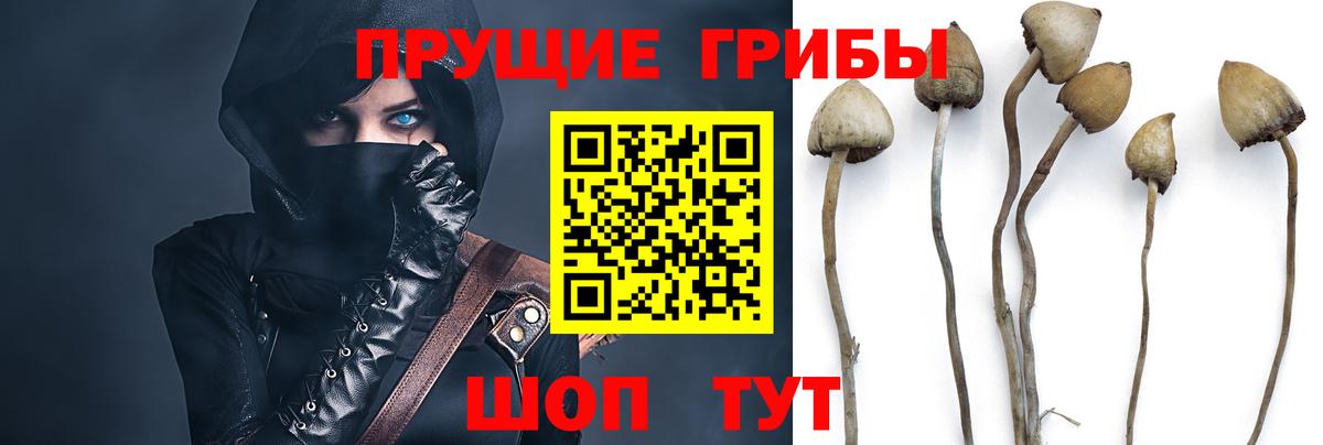 Ликино-Дулёво  Галлюциногенные грибы мицелий  Вход с VPN 